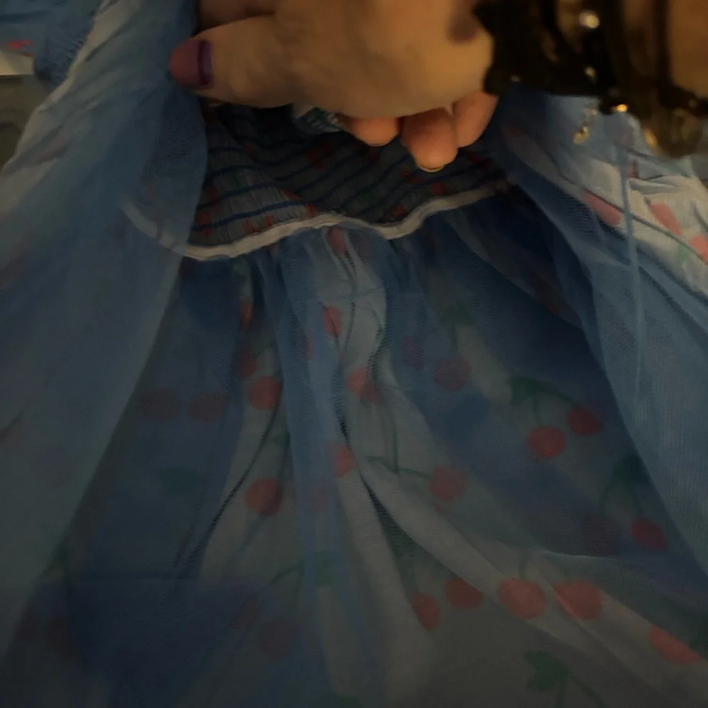 oodles Blue Dog Dress with Cherry Print